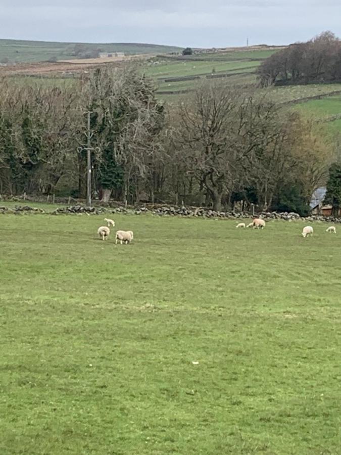 Church Gate Farm Harrogate Ngoại thất bức ảnh